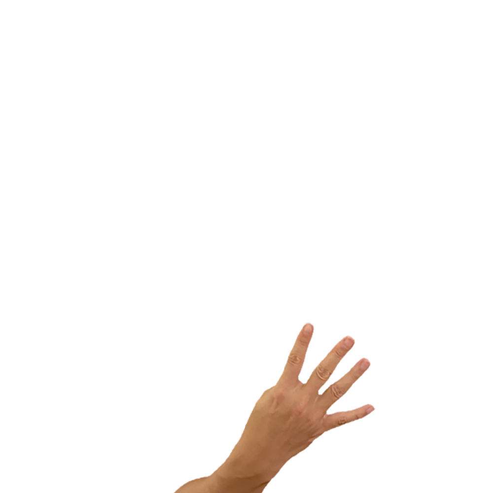 fourhand
